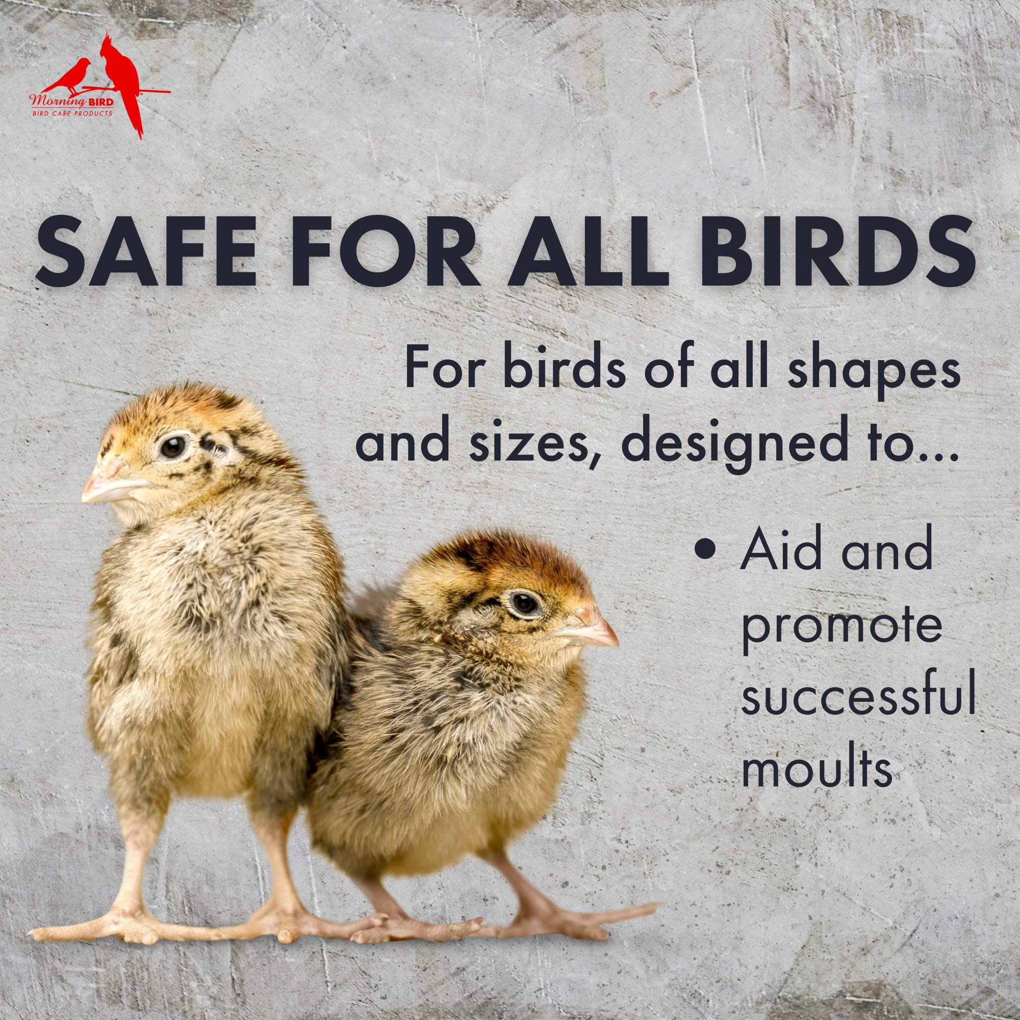Morning Bird Feather Fast, Dietary Supplement for Moulting Birds, Mix with Bird Food, 3 lbs